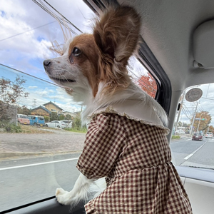 【休み】って大事ですよね